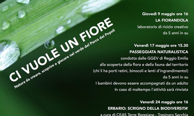 Ci vuole un Fiore