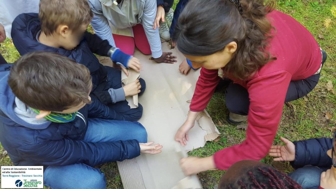 Il mondo delle Api a San Faustino Il mondo delle Api a San Faustino