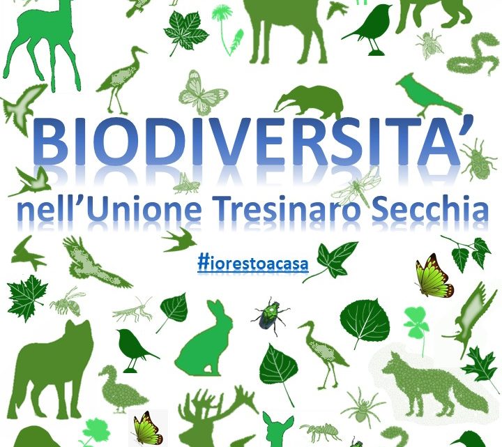 Biodiversità nell’Unione Tresinaro Secchia