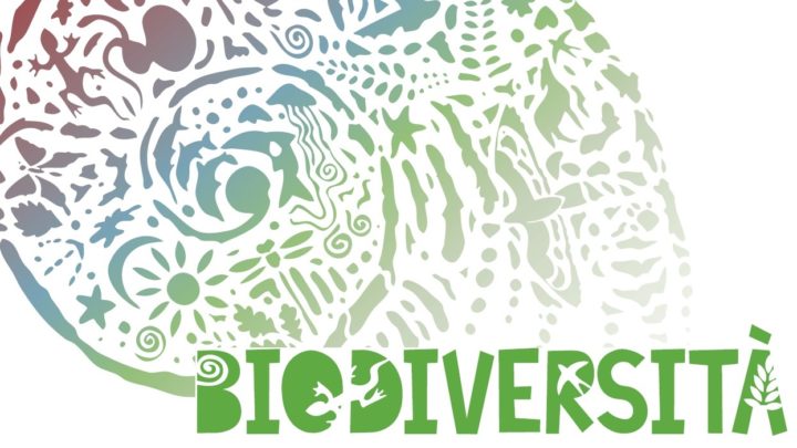 Sezione “Biodiversità”