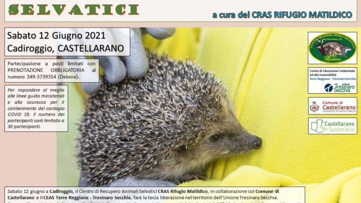 Liberazione di animali selvatici  a Cadiroggio (Castellarano)