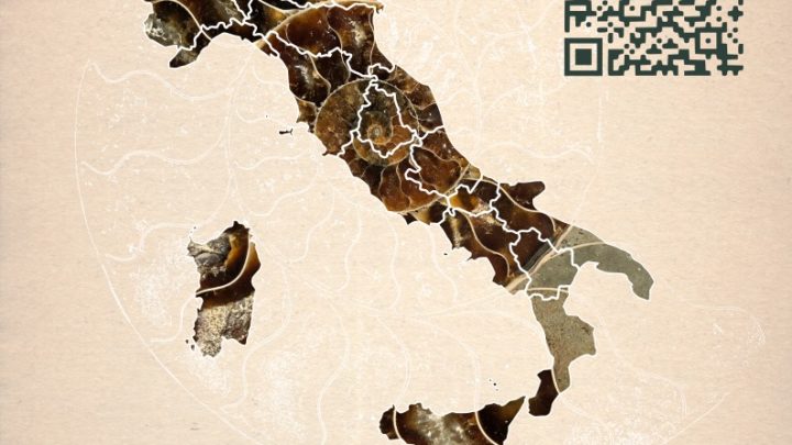 Comune Baiso e Mosasauro candidati all’iniziativa FOSSILI ITALIANI