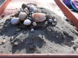 Tra geologia e geomorfologia: il Laboratorio “Vasca sabbia”