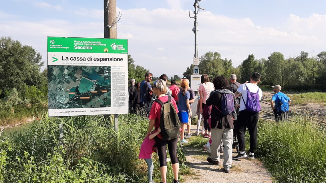 Passeggiata col naturalista alle Casse di espansione del Fiume Secchia