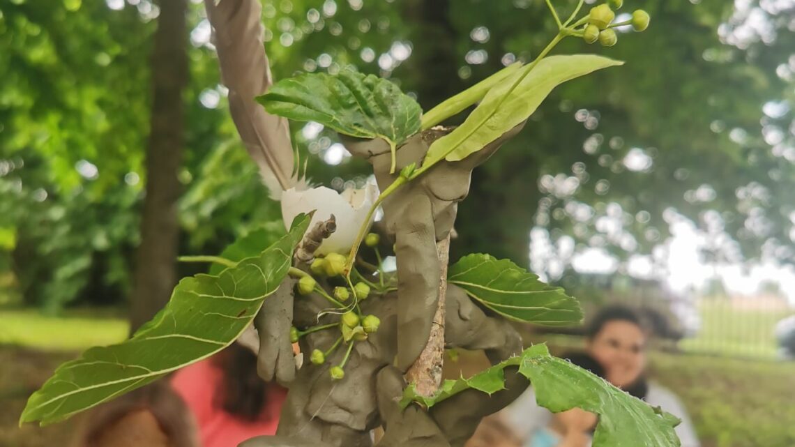 Uscita “Io sono albero” a Rubiera