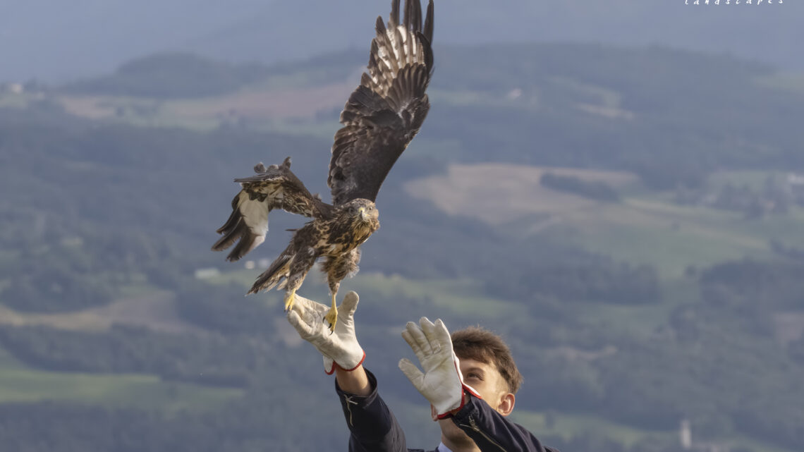 Liberazione animali a San Cassiano – BAISO