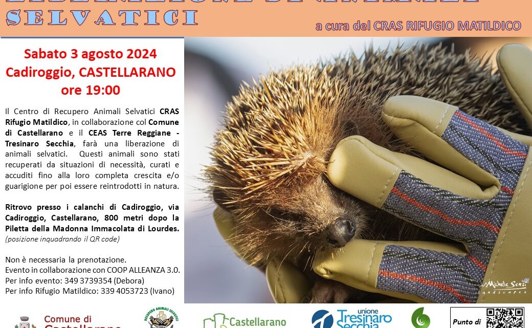 Liberazione di animali selvatici a Castellarano