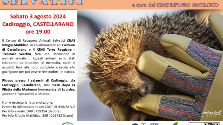 Liberazione di animali selvatici a Castellarano