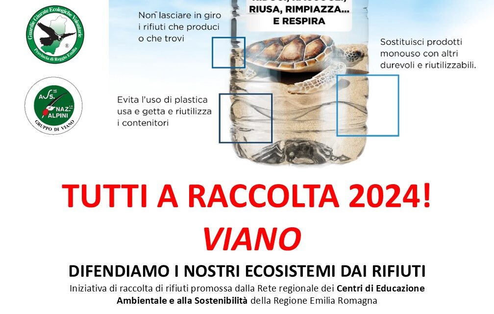 Tutti a raccolta 2024! – Viano