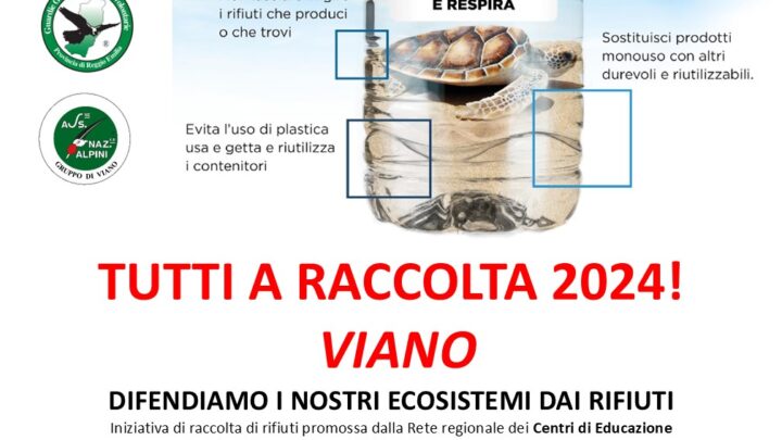 Tutti a raccolta 2024! – Viano