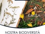 Laboratorio “FLOR – ART: Come nasce un ERBARIO”