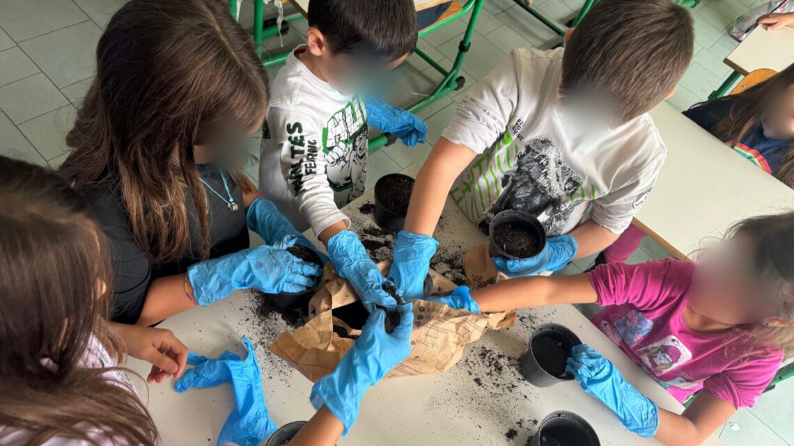 “Una ghianda fa il bosco” nella 2°B delle San Francesco – Scandiano