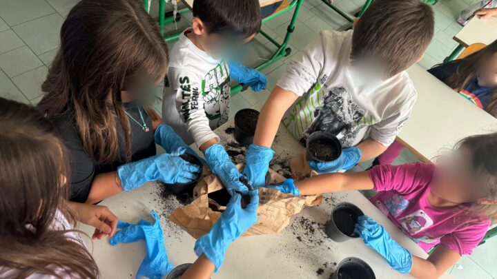 “Una ghianda fa il bosco” nella 2°B delle San Francesco – Scandiano