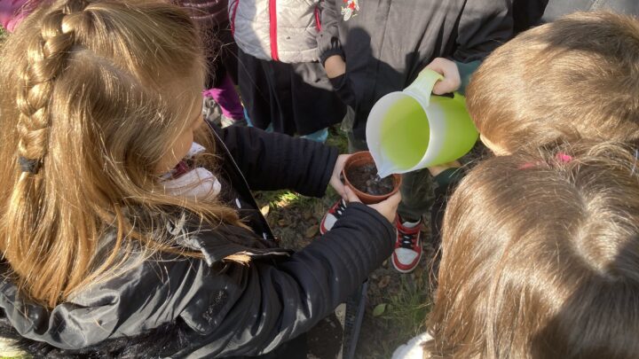 “Una ghianda fa il bosco” a Viano