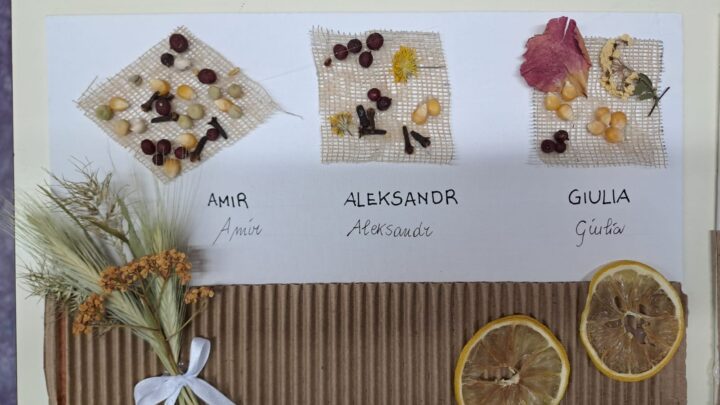 I pannelli per l’appello della Sezione mista ua di Tressano