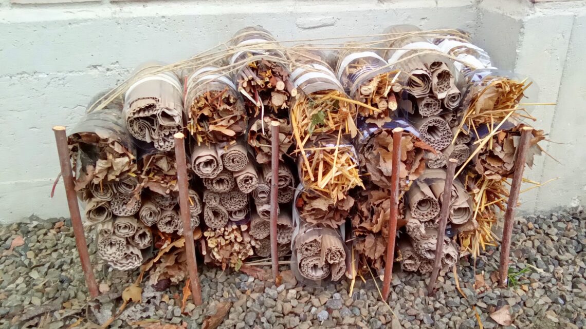 BUG HOTEL alla Scuola Primaria di Regnano BUG HOTEL alla Scuola Primaria di Regnano