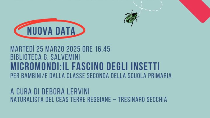 Replica del laboratorio “Micromondi: il fascino degli insetti” il 25/03/2025