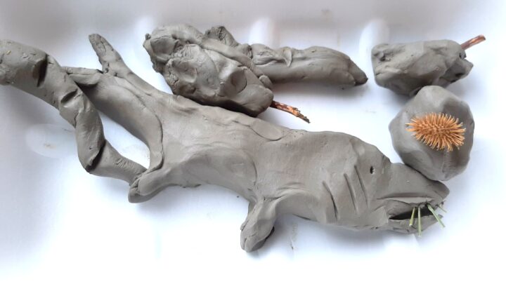 C’era una volta un….. a Baiso