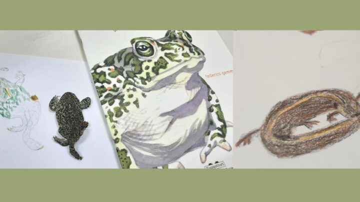 Progetto “L’occhio del mondo” – Ennesimo Film Festival