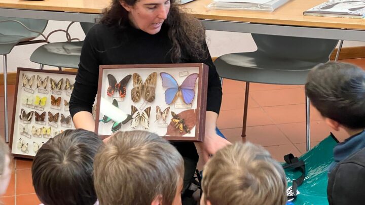 Giovani entomologi in biblioteca a Scandiano
