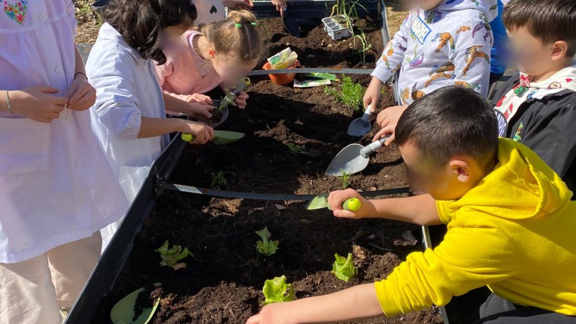Orti scolastici come scuola di cittadinanza globale Orti scolastici come scuola di cittadinanza globale