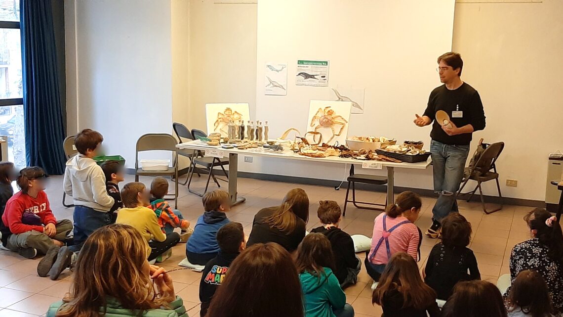 Laboratorio MaRE-volution: un tuffo nel passato per comprendere il presente e rispettare il nostro futuro! Laboratorio MaRE-volution: un tuffo nel passato per comprendere il presente e rispettare il nostro futuro!