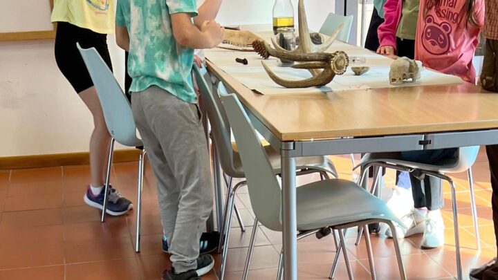 Laboratorio “Caccia alla traccia” in Biblioteca a Scandiano