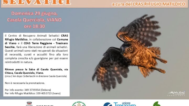 Liberazione di animali selvatici a Casola Querciola (Viano)