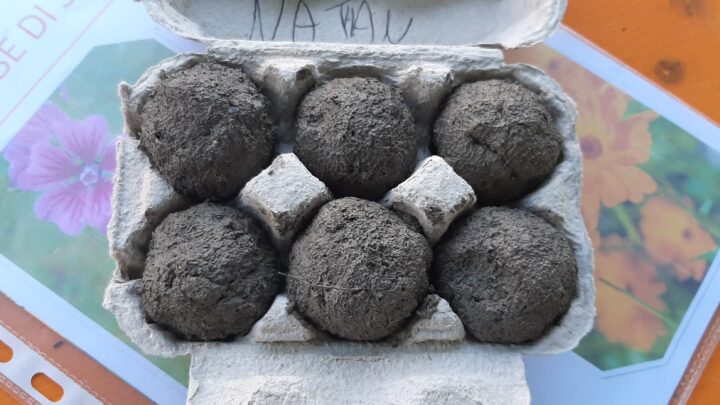 “Bombe di semi”al ABT Festival di Viano