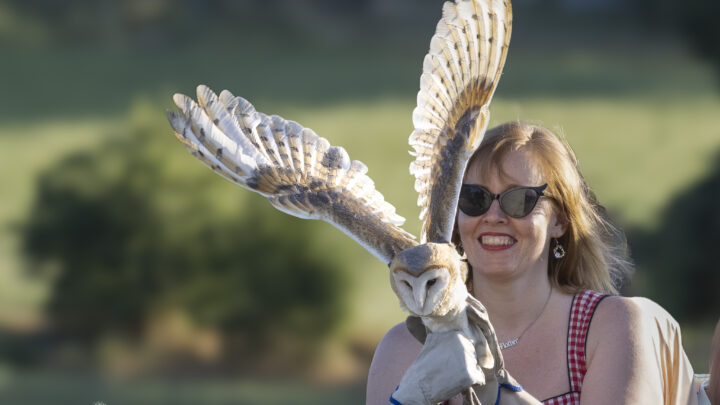 Liberazione selvatici a Viano