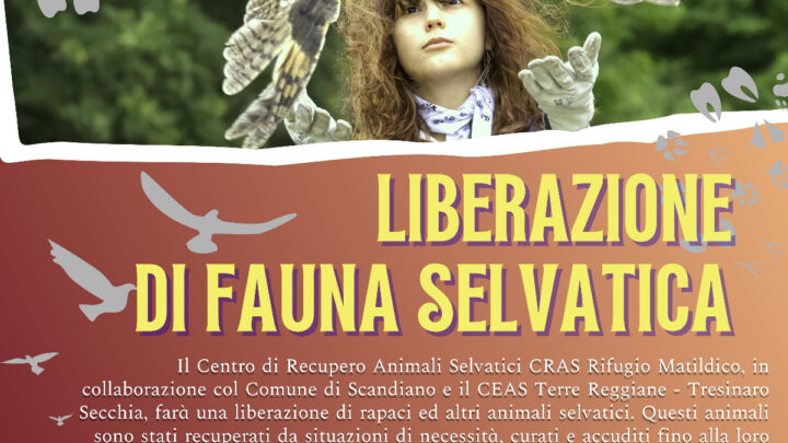 Liberazione di Animali Selvatici a Ventoso (SCANDIANO)