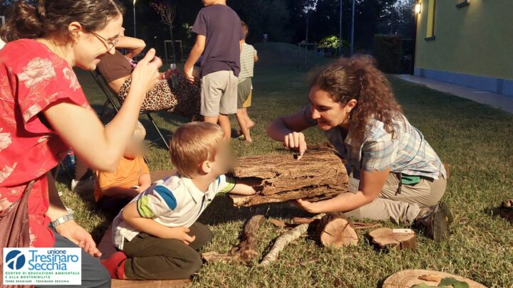 Salviamo l’Olmo del Bisamar!