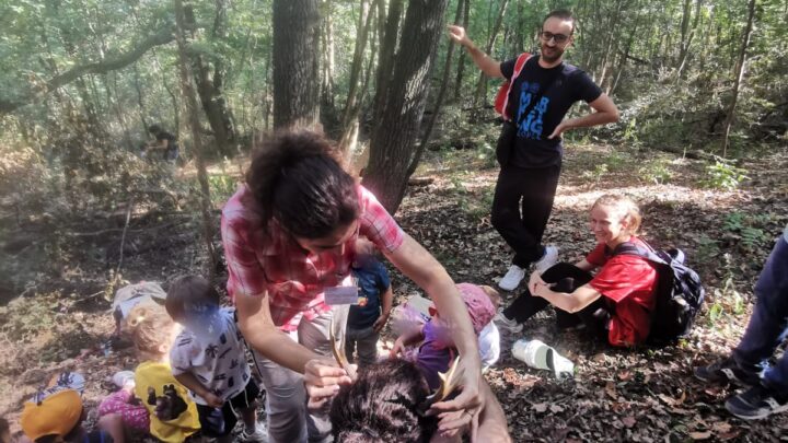 La “magia del bosco” della Riserva di Casalgrande