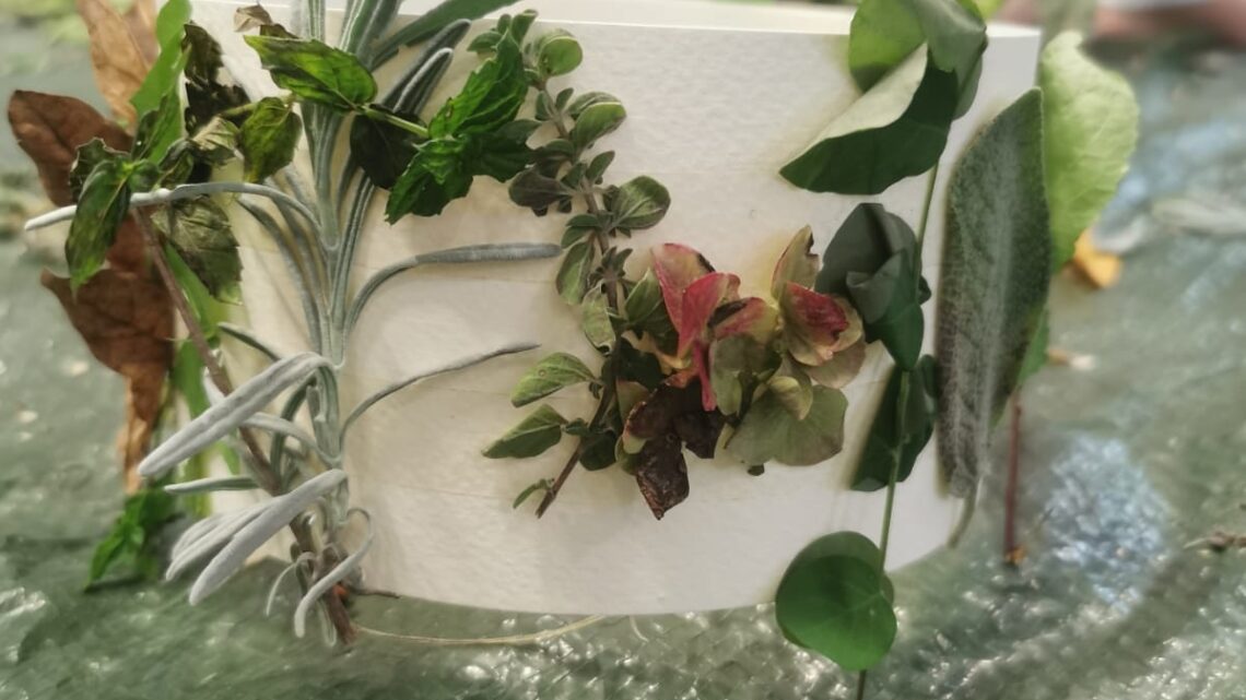 Corone della natura a Castellarano