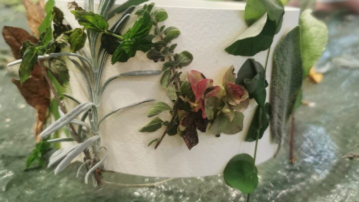 Corone della natura a Castellarano