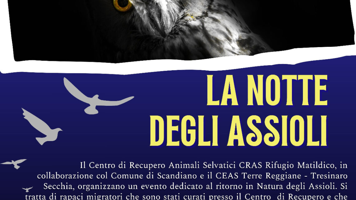 LA NOTTE DEGLI ASSIOLI a Iano (Scandiano)