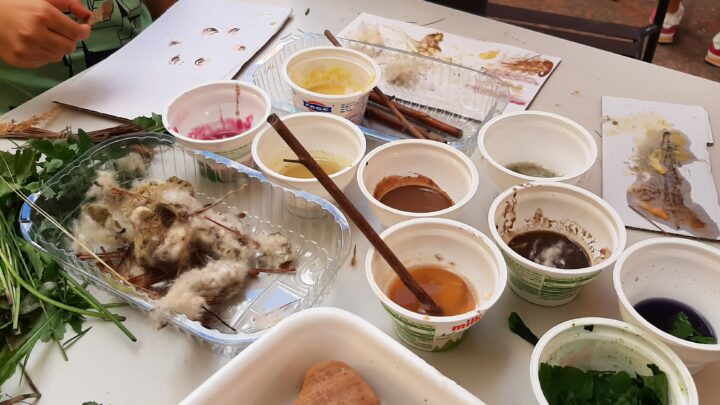 Dendrocoloreria a Rubiera: tutto esaurito!