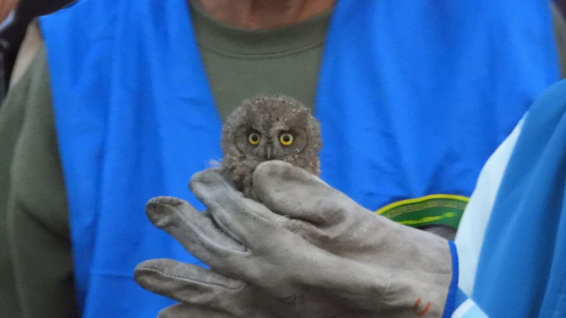 Gran successo a “La Notte degli Assioli”