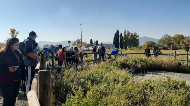 La Salsa nel piatto a Casola Querciola