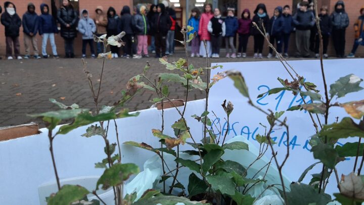 21 novembre: Festa dell’albero a Casalgrande