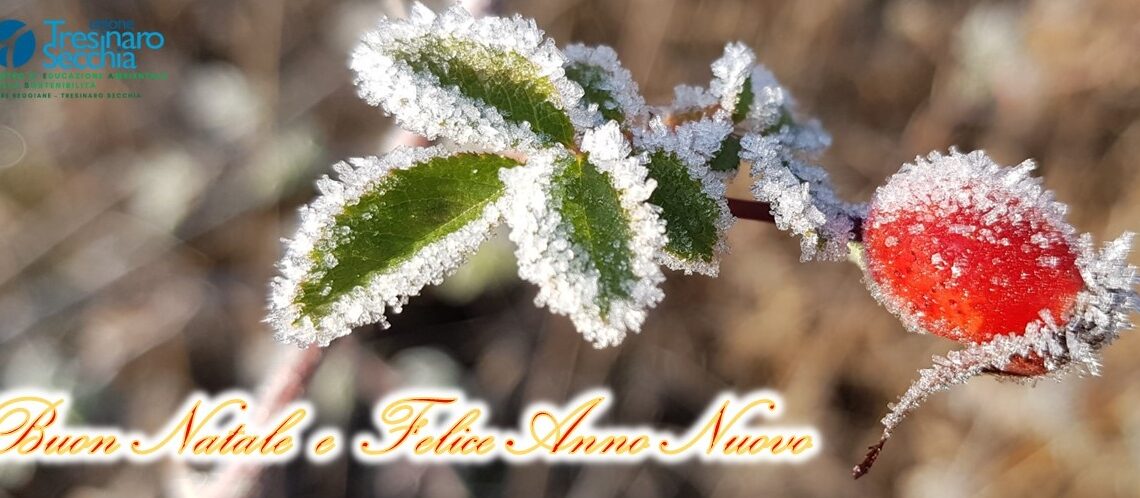 Buon Natale e Felice Anno Nuovo