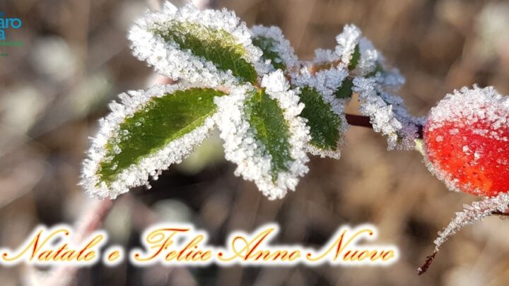 Buon Natale e Felice Anno Nuovo
