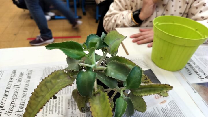 Al via il progetto “Aule verdi”: natura e benessere entrano nelle scuole primarie